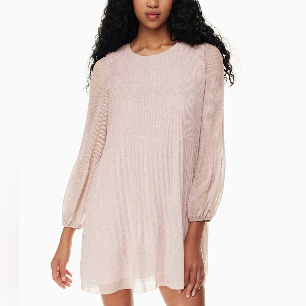 Wilfred Aritzia Daydreamer Mini Pleated chiffon Long sleeve Flowy mini dress
